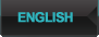 switch language